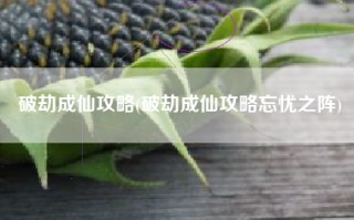 破劫成仙攻略(破劫成仙攻略忘忧之阵)