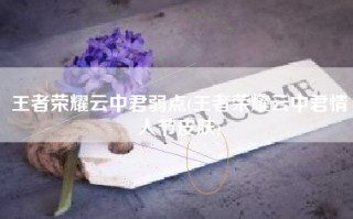 王者荣耀云中君弱点(王者荣耀云中君情人节皮肤)