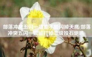 部落冲突五闪一震能不能闪掉天鹰(部落冲突五闪一震能打掉二级投石炮吗)