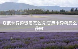 安尼卡异兽资质怎么洗(安尼卡异兽怎么获得)