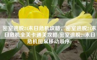 密室逃脱24末日危机攻略，密室逃脱24末日危机全关卡通关攻略(密室逃脱24末日危机图案移动顺序)