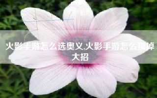 火影手游怎么选奥义,火影手游怎么顶掉大招