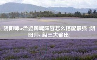 阴阳师sr孟婆御魂阵容怎么搭配最强 (阴阳师sr级三大输出)