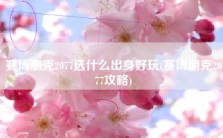 赛博朋克2077选什么出身好玩(赛博朋克2077攻略)