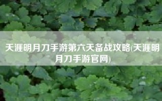 天涯明月刀手游第六天备战攻略(天涯明月刀手游官网)