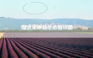 魔武无限新手必看攻略
