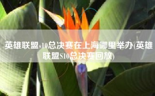 英雄联盟s10总决赛在上海哪里举办(英雄联盟S10总决赛回放)