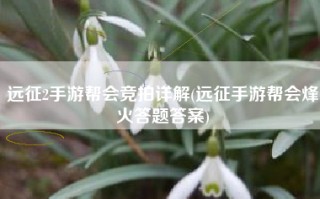 远征2手游帮会竞拍详解(远征手游帮会烽火答题答案)