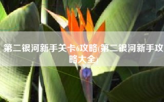 第二银河新手关卡6攻略(第二银河新手攻略大全)