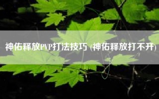 神佑释放PVP打法技巧 (神佑释放打不开)