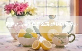 造物2Ningen斗鱼怎么玩(造物的恩宠gl)