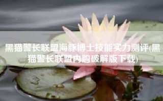 黑猫警长联盟海豚博士技能实力测评(黑猫警长联盟内购破解版下载)