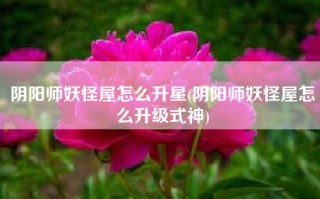 阴阳师妖怪屋怎么升星(阴阳师妖怪屋怎么升级式神)