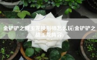 金铲铲之战玉龙换形师怎么玩(金铲铲之战玉龙阵容)