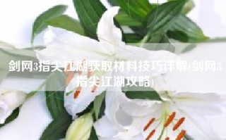 剑网3指尖江湖获取材料技巧详解(剑网3指尖江湖攻略)