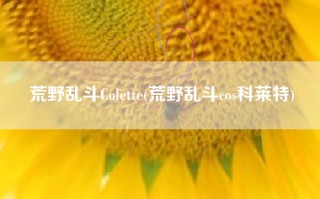荒野乱斗Colette(荒野乱斗cos科莱特)