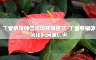 王者荣耀韩信阿珂共同铭文_王者荣耀韩信和阿珂谁厉害