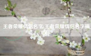王者荣耀情侣名字(王者荣耀情侣名字搞笑)