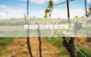 鬼剑豪伙伴获取攻略