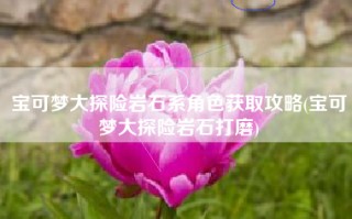 宝可梦大探险岩石系角色获取攻略(宝可梦大探险岩石打磨)
