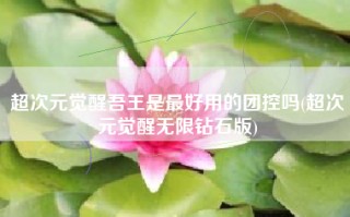 超次元觉醒吾王是最好用的团控吗(超次元觉醒无限钻石版)