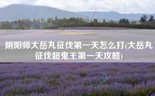 阴阳师大岳丸征伐第一天怎么打(大岳丸征伐超鬼王第一天攻略)