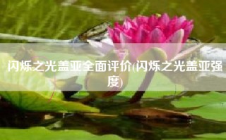 闪烁之光盖亚全面评价(闪烁之光盖亚强度)