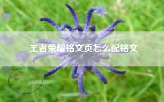 王者荣耀铭文页怎么配铭文