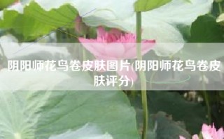 阴阳师花鸟卷皮肤图片(阴阳师花鸟卷皮肤评分)