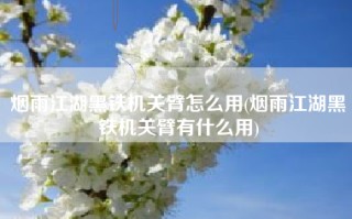 烟雨江湖黑铁机关臂怎么用(烟雨江湖黑铁机关臂有什么用)