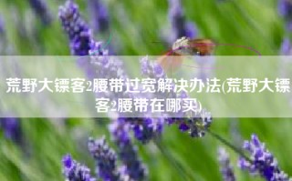 荒野大镖客2腰带过宽解决办法(荒野大镖客2腰带在哪买)