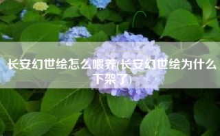 长安幻世绘怎么喂养(长安幻世绘为什么下架了)