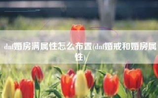dnf婚房满属性怎么布置(dnf婚戒和婚房属性)