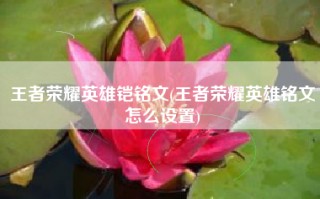 王者荣耀英雄铠铭文(王者荣耀英雄铭文怎么设置)