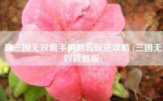 真三国无双霸手游赵云玩法攻略 (三国无双战略版)