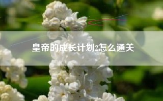 皇帝的成长计划2怎么通关