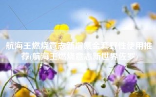 航海王燃烧意志新增氪金套野性使用推荐(航海王燃烧意志新世界佐罗)