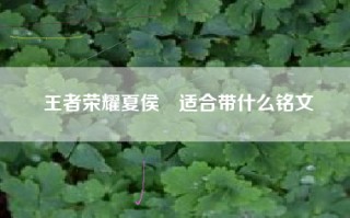 王者荣耀夏侯惇适合带什么铭文