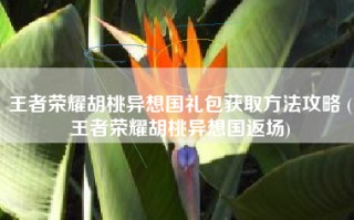 王者荣耀胡桃异想国礼包获取方法攻略 (王者荣耀胡桃异想国返场)