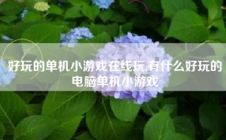 好玩的单机小游戏在线玩,有什么好玩的电脑单机小游戏