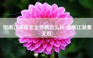 烟雨江湖家宅无双榜怎么玩(烟雨江湖秦无双)