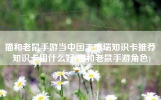 猫和老鼠手游当中国王杰瑞知识卡推荐 知识卡用什么好(猫和老鼠手游角色)