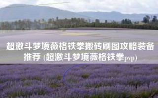 超激斗梦境薇格铁拳搬砖刷图攻略装备推荐 (超激斗梦境薇格铁拳pvp)
