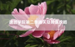 魂器学院第二章通关及掉落攻略