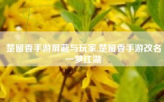 楚留香手游屏蔽与玩家,楚留香手游改名一梦江湖