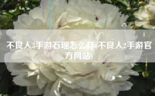 不良人3手游石瑶怎么样(不良人2手游官方网站)