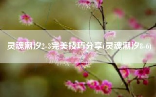 灵魂潮汐2-3完美技巧分享(灵魂潮汐8-6)