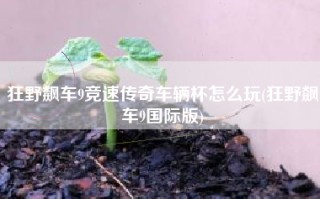 狂野飙车9竞速传奇车辆杯怎么玩(狂野飙车9国际版)