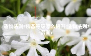造物法则2装备等级怎么提升(造物法则2漫画)