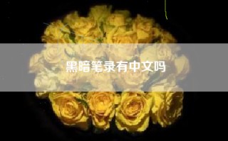 黑暗笔录有中文吗